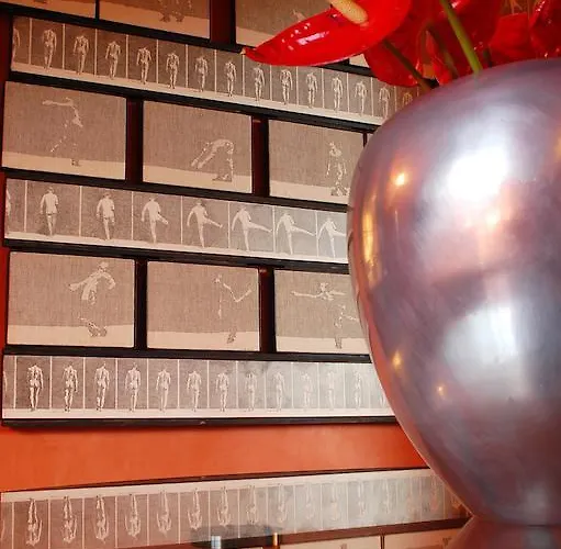 酒店 圣罗克酒店 4*